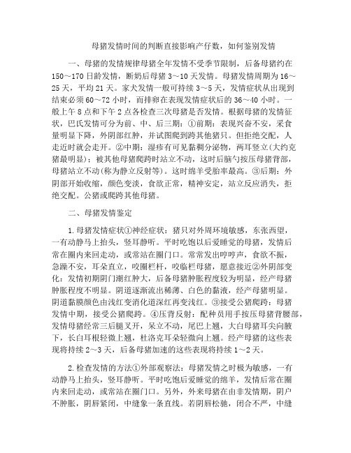 母猪发情时间的判断直接影响产仔数,如何鉴别发情