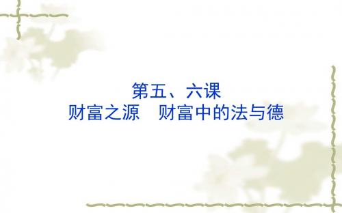 2018年山东省济南市中考思想品德复习课件:九年级全一册册 第五、六课