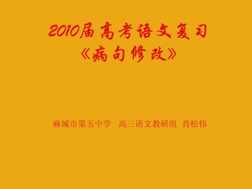 2010届高考语文复习《病句》专题系列课件01...