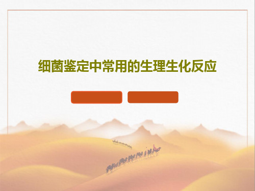 细菌鉴定中常用的生理生化反应23页PPT