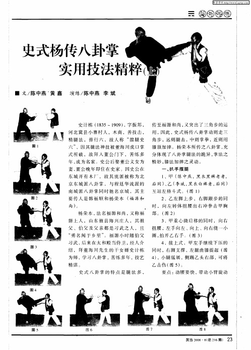 史式杨传八卦掌实用技法精粹(上)
