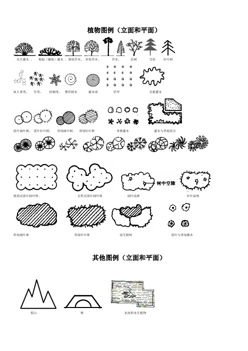 园林景观设计赏析试卷图例