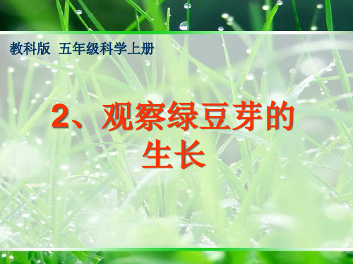 小学科学苏教版《观察》Ppt精品课件1