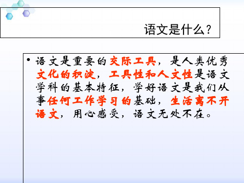 初中语文_学法指导 PPT教学课件(推荐)