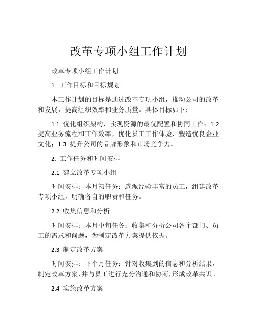 改革专项小组工作计划