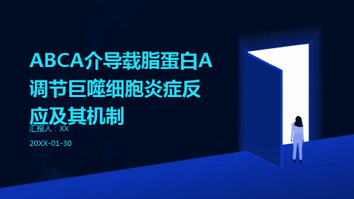 ABCA介导载脂蛋白A调节巨噬细胞炎症反应及其机制