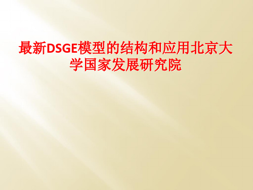 最新DSGE模型的结构和应用北京大学国家发展研究院