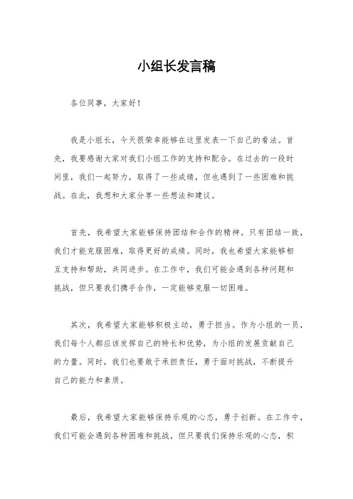 小组长发言稿