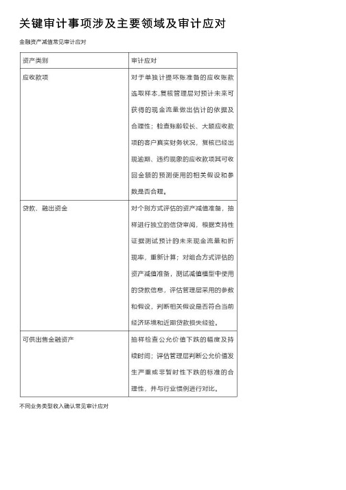 关键审计事项涉及主要领域及审计应对