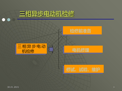 三相异步电动机检测与维修PPT课件