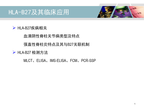 HLAB27检测及其临床应用详解