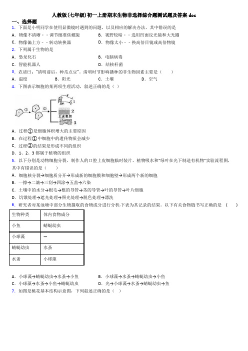 人教版(七年级)初一上册期末生物非选择综合题测试题及答案doc