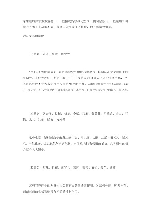 装修后家中放些什么植物可吸附有害气体