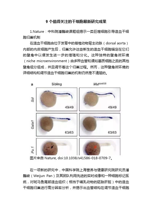 9个值得关注的干细胞最新研究成果