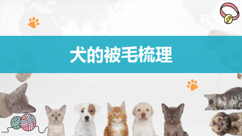 【宠物美容课件】犬的被毛梳理与开结