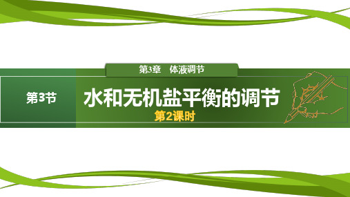 水和无机盐平衡的调节(第2课时)高二生物(人教版2019选择性必修1)