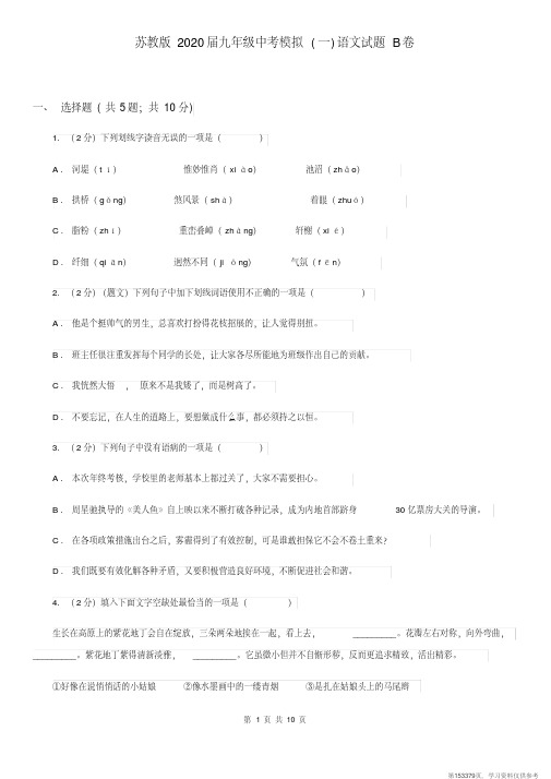 (精品文档)苏教版2020届九年级中考模拟(一)语文试题B卷