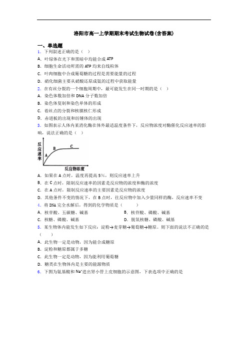 洛阳市高一上学期期末考试生物试卷(含答案)