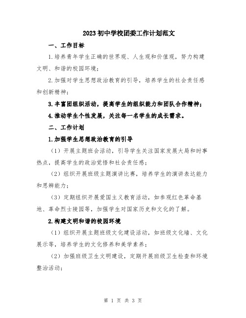 2023初中学校团委工作计划范文