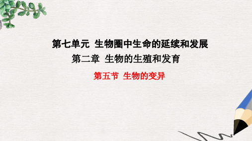 2019年春八年级生物下册 第七单元 第二章 第五节 生物的变异课件 新人教版