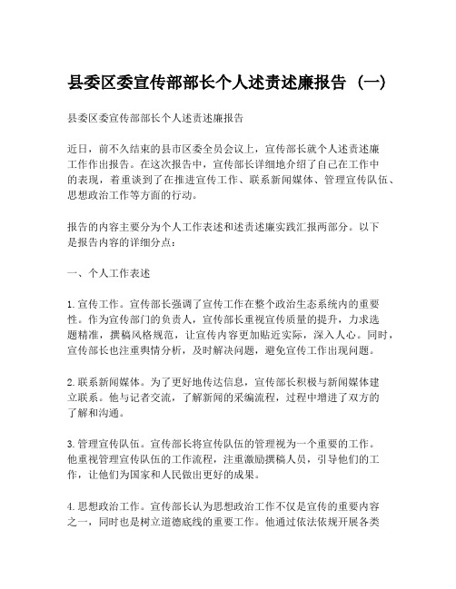 县委区委宣传部部长个人述责述廉报告 (一)