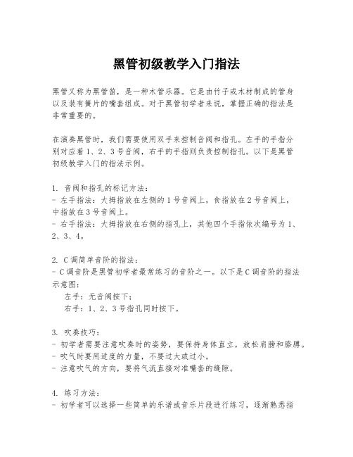 黑管初级教学入门指法