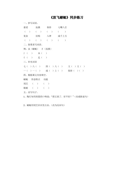 《放飞蜻蜓》同步练习1