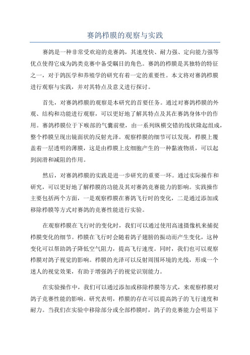 赛鸽栉膜的观察与实践