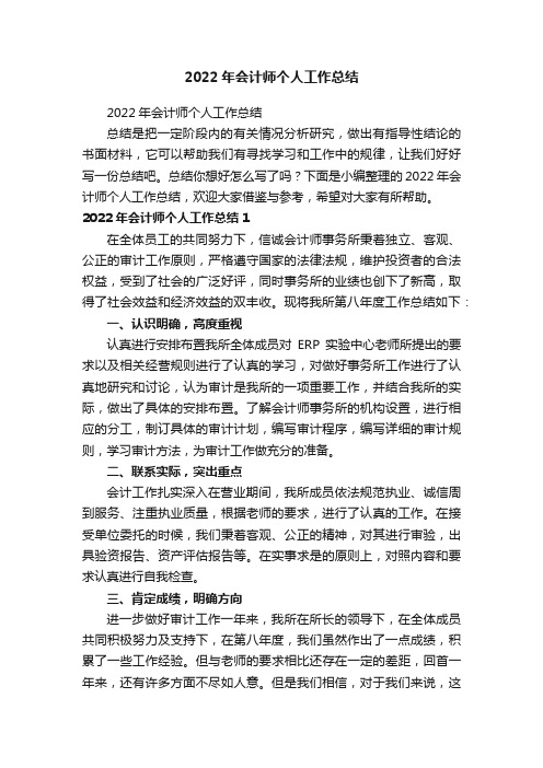 2022年会计师个人工作总结