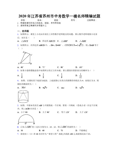 2020年江苏省苏州市中考数学一模名师精编试题附解析