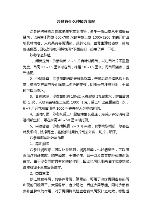 沙参有什么种植方法呢