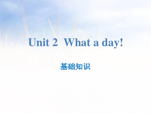 《What a day!》基础知识PPT