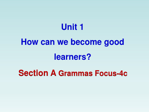 九年级英语Unit1_SectionA(Grammar_Focus-4c)