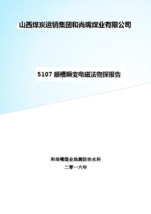 5107瞬变电磁超前物探标准格式