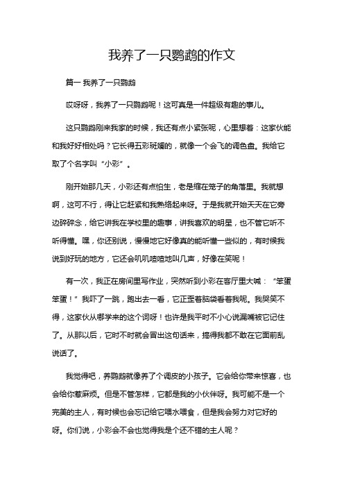 我养了一只鹦鹉的作文