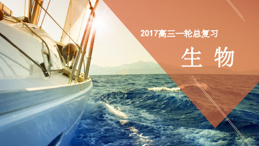 高考生物一轮复习 第七单元 生物变异、进化与育种 专题21 从杂交育种到基因工程课件(必修2)