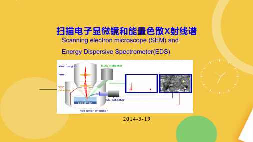 现代仪器分析SEMEDS.完整资料PPT