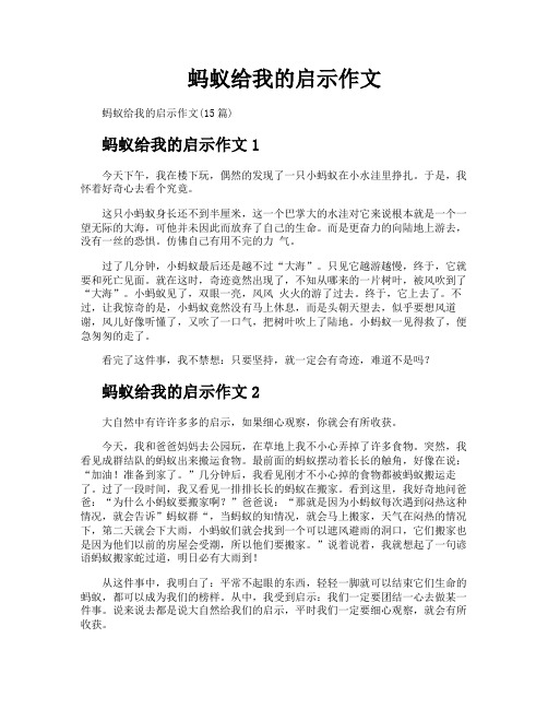 蚂蚁给我的启示作文