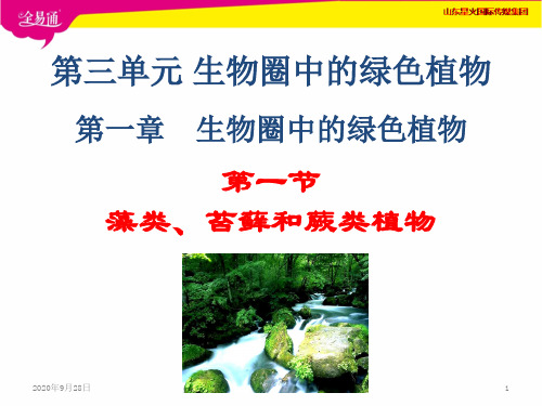 藻类、苔藓和蕨类植物PPT课件