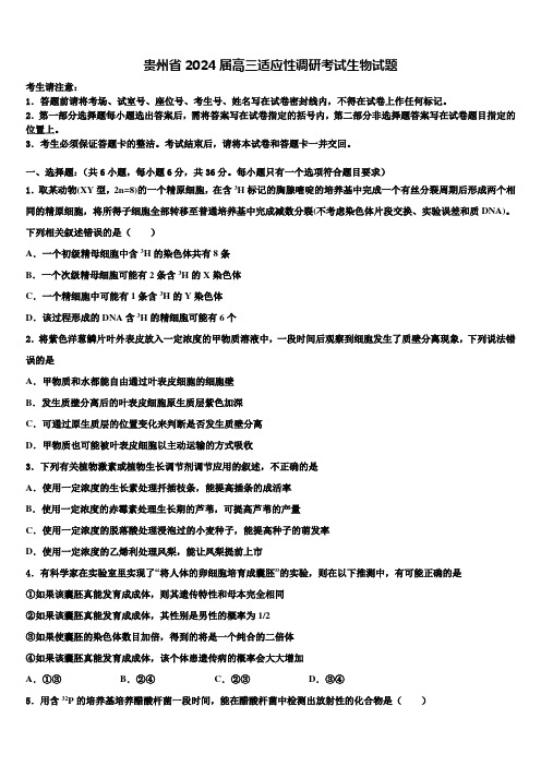 贵州省2024届高三适应性调研考试生物试题含解析