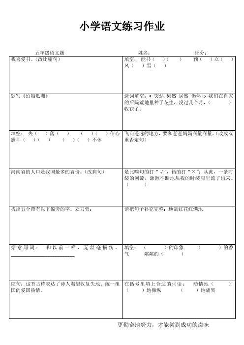 五年级语文课堂拓展精选练习IV (32)