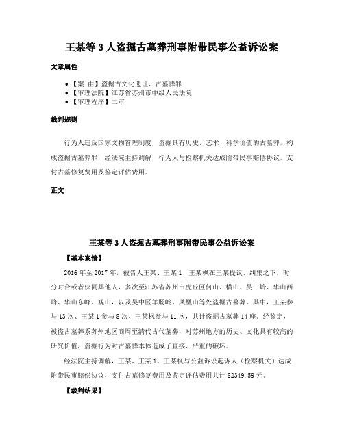 王某等3人盗掘古墓葬刑事附带民事公益诉讼案