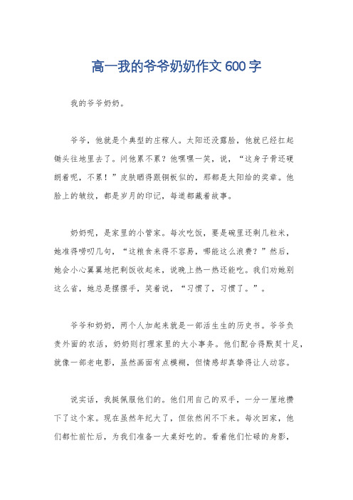 高一我的爷爷奶奶作文600字