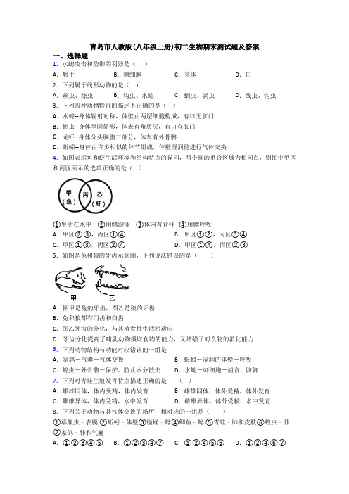 青岛市人教版(八年级上册)初二生物期末测试题及答案