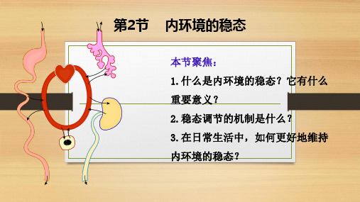 1.2内环境的稳态(课件)-高二上学期生物人教版选择性必修1