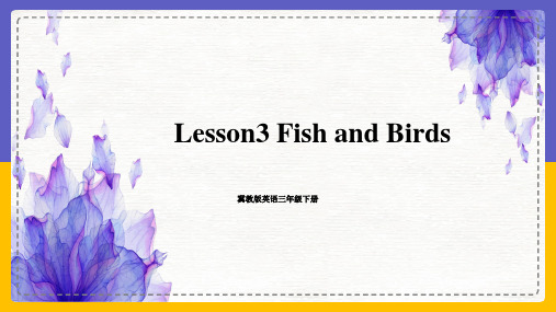 冀教版英语三年级下册 Lesson 3 Fish and Birds 课件