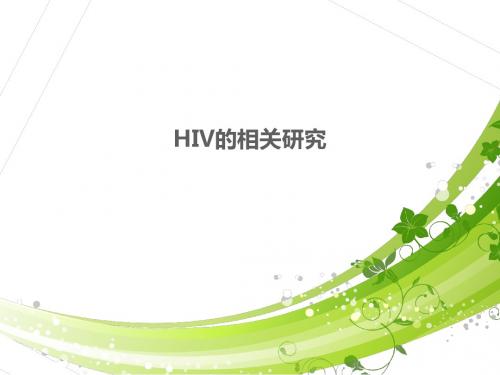 HIV的相关研究  ppt课件