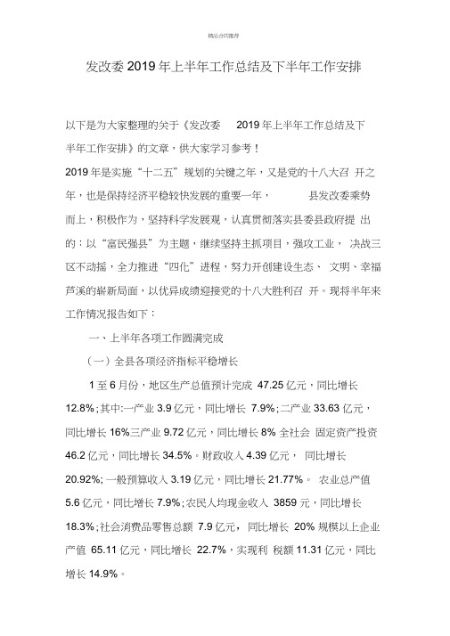 发改委2019年上半年工作总结及下半年工作安排