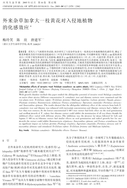 大一枝黄花对入侵地植物的化感效应