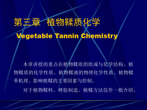 鞣制化学第三章全篇